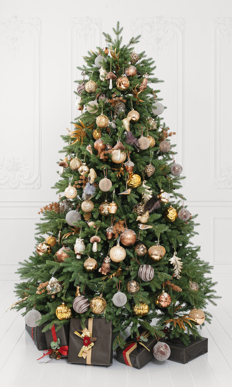 Tekokuusi Alpine PE+PVC