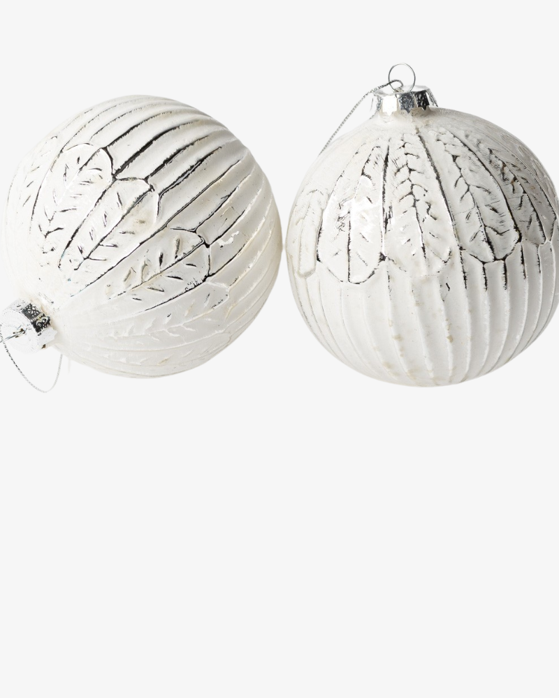 White whitey ehe, 6 tk