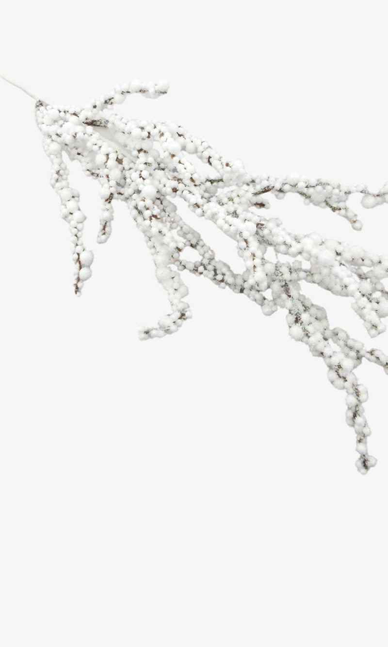 White berries oks, 1tk