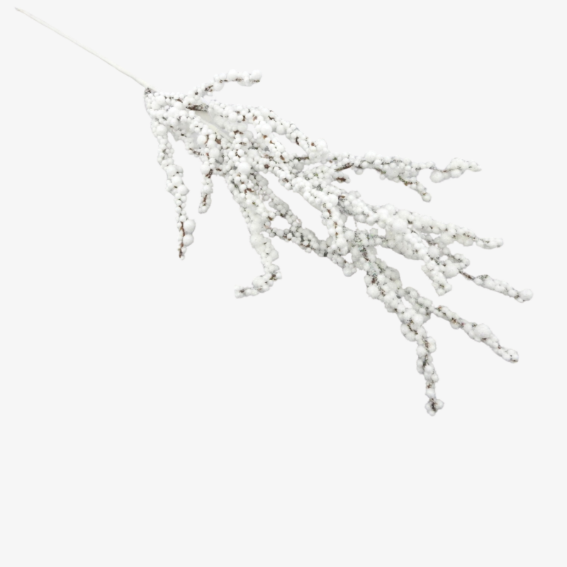 White berries oks, 1tk